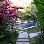 bali01