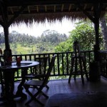 bali14