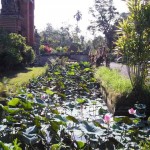 bali21