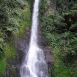 bali30