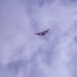 20101003_hallig06