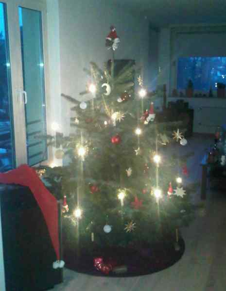 20101224_weihnachtsbaum