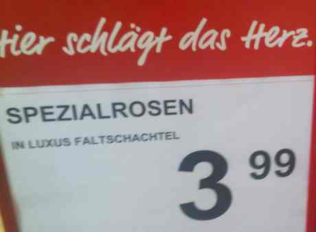 20100322_spezialrosen