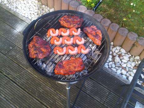 20100418_grill_eingeweiht