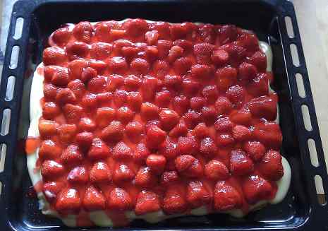 20110515_erbeerkuchen