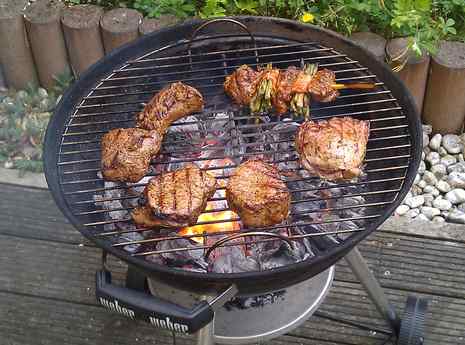 20110604_grillen